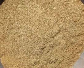 Rice Bran